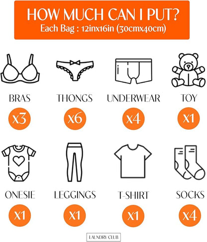 4 Pack Mesh Laundry Bags for Delicates 12inx16in (30cmx40cm), Dryer Safe, Breathable Fine Net, Sturdy Anti-Rust Zipper, Mesh Laundry Bags for Lingerie, Bra, Underwear, Sneakers, Socks, Laundry Club™