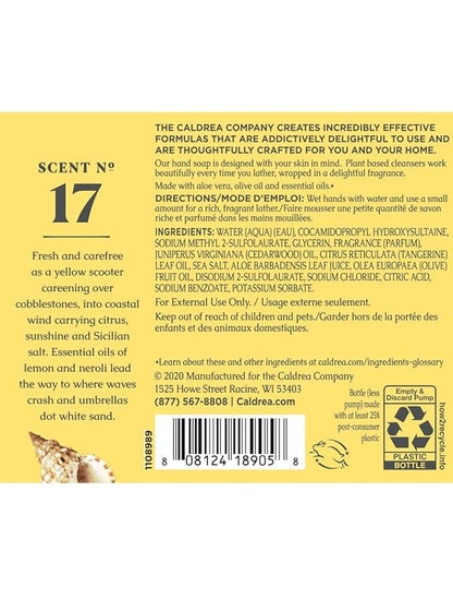 Caldrea Hand Wash Soap, Aloe Vera Gel, Olive Oil and Essential Oils to Cleanse and Condition, Sea Salt Neroli, 10.8 oz, 2 Pack
