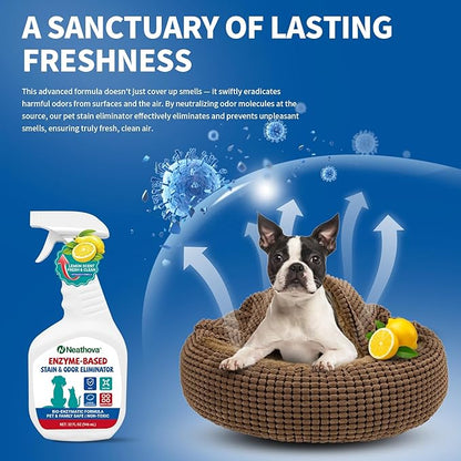Stain & Strong Odor Eliminator, Enzyme Cleaner, Pet Odor Eliminator for Home - Carpet Stain Remover for Cats & Dog Pee - Urine Destroyer - Carpet Cleaner Spray Clear (Lemon)