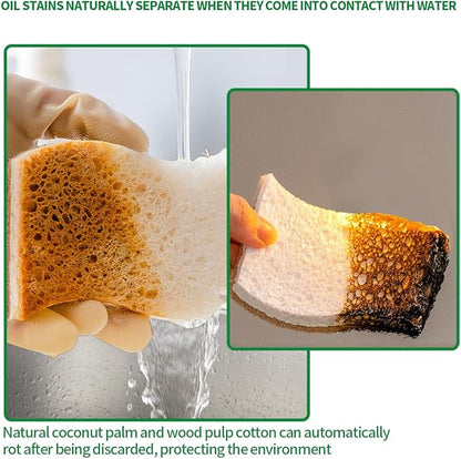 Sponges Kitchen Natural Dish Sponge Plant-Based Biodegradable Compostable Cellulose with Coconut Scrubber Sponge Non Scratch Eco Friendly Kitchen sponges for Kitchen Dishes