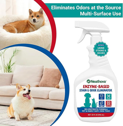 Stain & Strong Odor Eliminator, Enzyme Cleaner, Pet Odor Eliminator for Home - Carpet Stain Remover for Cats & Dog Pee - Urine Destroyer - Carpet Cleaner Spray Clear (Unscented)