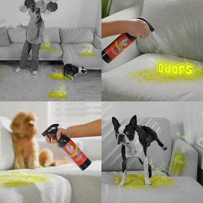 Pet Stain & Odor Eliminator, Multi-Surface Enzyme Cleaner Spray for Home, Carpet Stain Remover for Dog & Cat Urine Destroyer, Dog Pee Cleaner Deodorizer, 16oz Spray Bottle & Mitt