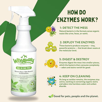 Wee Away All in One Pro Stain & Odor Remover, Enzyme Cleaner, Pet Urine Odor Eliminator for Home - Pet Mess Destroyer for Carpet & Furniture, Green Tea Scent, 32 fl oz