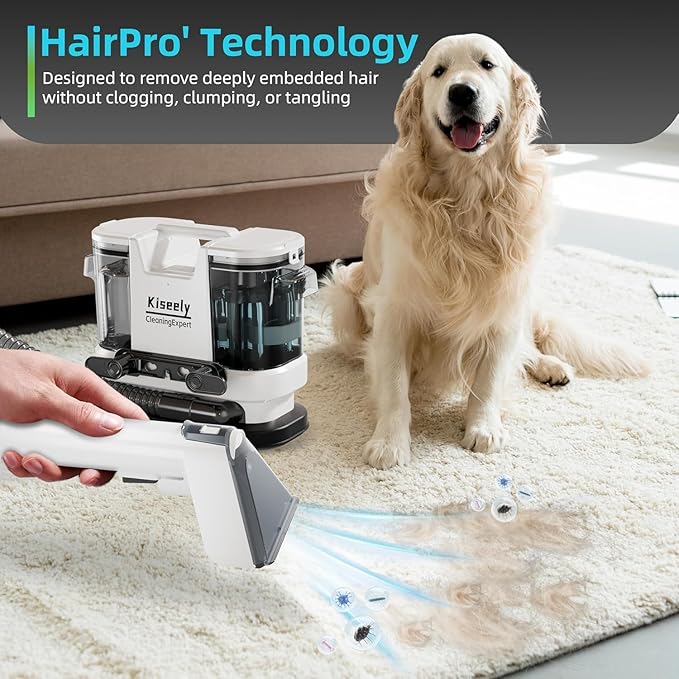 Portable Carpet and Upholstery Deep Cleaner, Instant Heating Rugs Cleaner, Powerful Suction&Deep Cleaning Cleaner Machine for Carpet, Couch, Car, Pets (ZM3)
