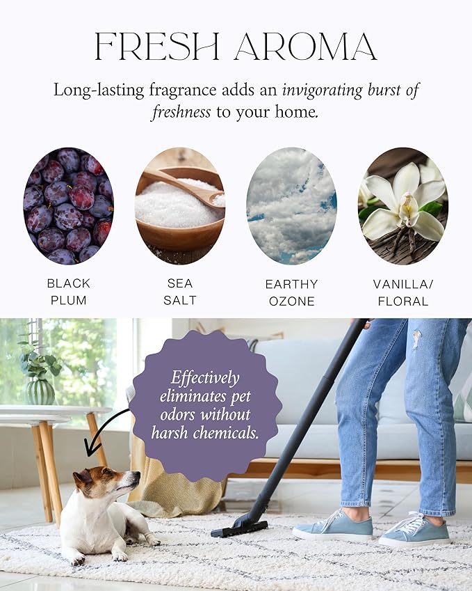 Home Noir Luxe Carpet Deodorizer Powder - Natural Odor Eliminator for Carpet, Upholstery, Pet Urine - Pet-Friendly - Black Plum, Sea Salt & Ozone Scent, Spring Cleaning