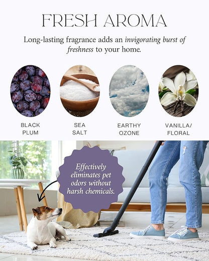 Home Noir Luxe Carpet Deodorizer Powder - Natural Odor Eliminator for Carpet, Upholstery, Pet Urine - Pet-Friendly - Black Plum, Sea Salt & Ozone Scent, Spring Cleaning