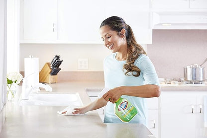 Clorox Company Clorox Clean-Up All Purpose Cleaner Spray Bottle With Bleach Original, 24 Fl Oz