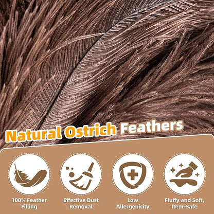 Extendable Ostrich Feather Duster with 19-49 inch Rotatable Stainless Steel Pole, Natural Feather Duster for Ceiling Fan Cobweb Dusting, Reusable Flexible Cleaning Duster(Include 1 Replacement Heads)