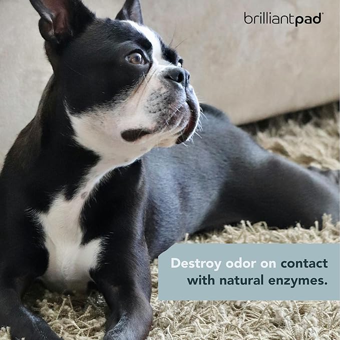 BrilliantPad TidyShot Pet Stain Remover & Odor Eliminator Spray | Natural Enzyme Cleaner, Cleans Cat & Dog Urine, Safe on Carpet & All Surfaces in Home for Pee | Advanced Professional Strength | 4 oz