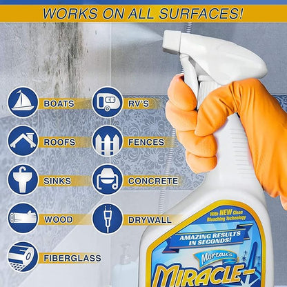 Instant Cleaner for Indoor and Outdoor Use, 32 oz | 2 Pack (64 OZ Spray)