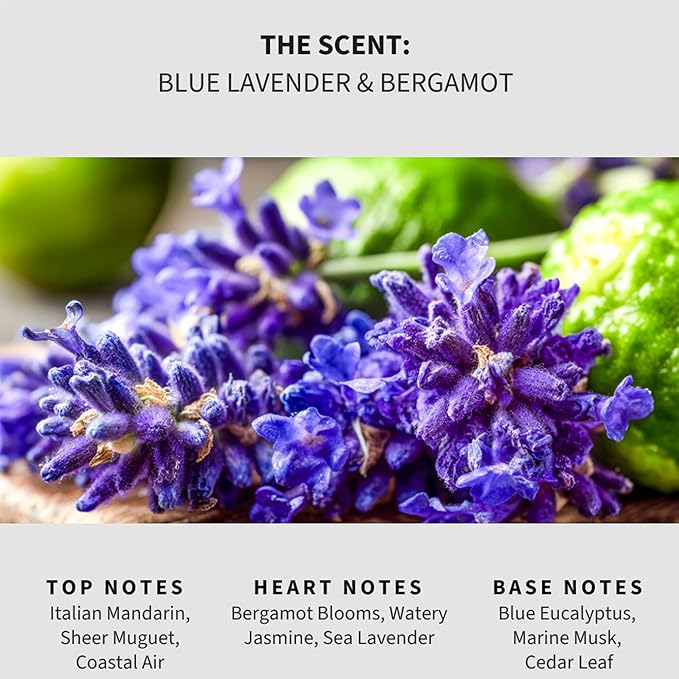 Lapew Blue Lavender & Bergamot Carpet Deodorizer Powder - Pet Safe Freshener for Vacuuming | Scented Odor Eliminator for Home | 36 oz