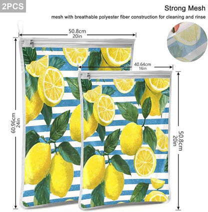 Mesh Laundry Bags Lingerie Bags for Washing Delicates 2 PCS Durable Wash Bag with Zipper Small and Medium Washable Blue Striped Summer Lemons
