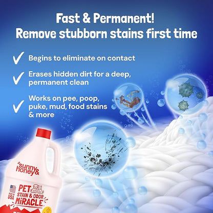 Sunny & Honey Pet Stain and Odor Remover - Enzyme Cleaner for Dog Urine and Poop on Carpets and Furniture - Strong Pet Carpet Cleaner Spray (1 Gallon Fall Spice)