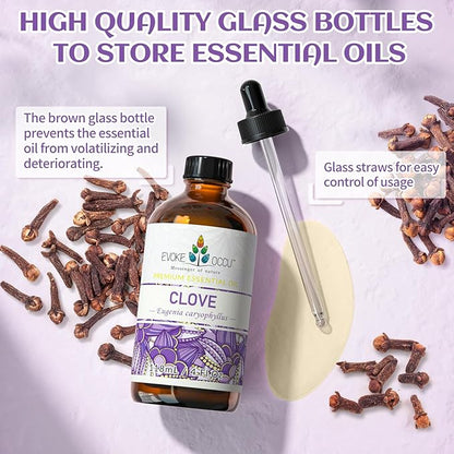 EVOKE OCCU Clove Oil for Teeth and Gums - Oral Care, Toothache Relief & Fresh Breath - DIY Mouthwash - 4 Fl Oz