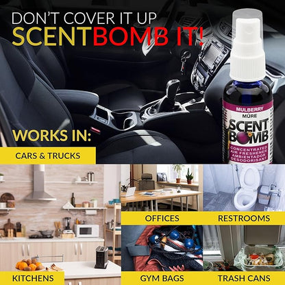 Scent Bomb Air Freshener Spray, Long-Lasting Odor Eliminator - Effective Deodorizer for Home & Car, Fresh Room Spray for Kitchen, Bathroom & Smell Neutralizer - 1 oz Pack of 4, Mulberry Scent