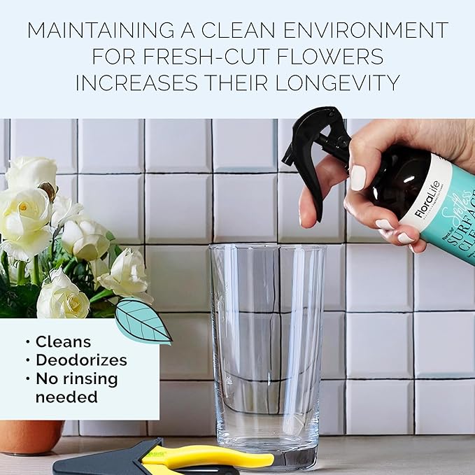 Floralife Surface Cleaner - Gentle Multi-Surface Cleaner Spray for Flower Vases and Tools - 8oz