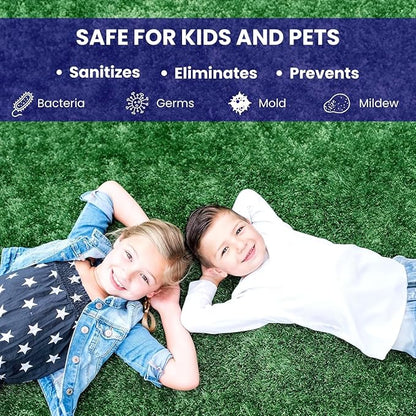 BioTurf BioS+ Artificial Turf Grass Concentrate Enzyme Cleaner and Pet Odor Eliminator - Removes Odors and Sanitizes - Organic, Safe, Environmentally Responsible (1 Gallon) - Original Scent