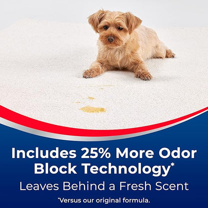 Woolite® Advantage INSTAclean™ Pet Stain Remover - 2 Pack, 3322