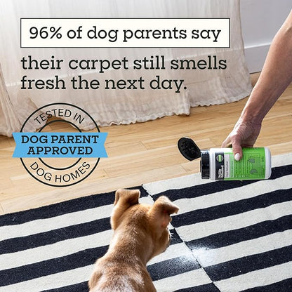 Pet Life Unlimited Carpet Deodorizer Powder, 16 oz, Strong Pet Odor Eliminator & Carpet Freshener, Plant-Based Juniper Leaf Scent, Pet Safe (Pack of 1)