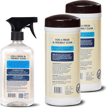 Aunt Fannie's Glass & Window Cleaning Bundle, Vinegar Spray and Wipes, Natural Streak-Free Spray, Pack of 3