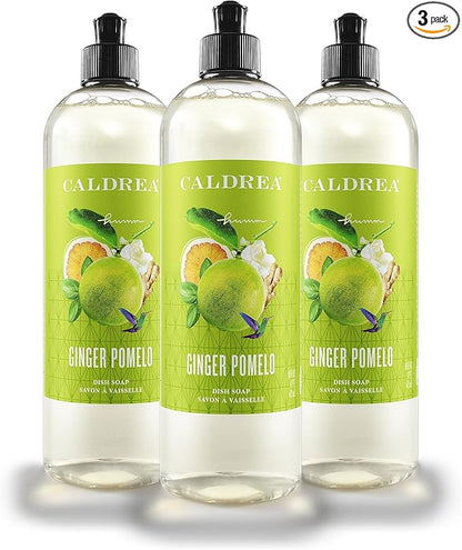 Caldrea Dish Soap, Biodegradable Dishwashing Liquid made with Soap Bark and Aloe Vera, Ginger Pomelo, 16 oz , 3 Pack