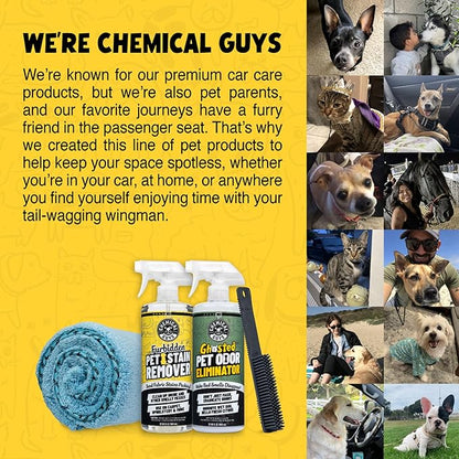 Chemical Guys Professional Rubber Pet Hair Removal Brush – Multi Surface Detailing&Pet Hair Removal Tool for Cars,Trucks,SUVs,RVs&Home – Removes Lint and Debris from Upholstery and Carpet,(Pack of 12)