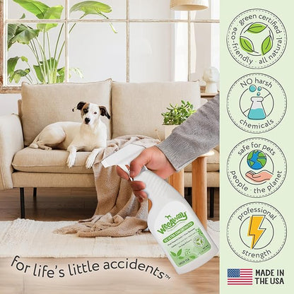 Wee Away X2 Ultra-Concentrated Stain & Strong Odor Eliminator, Enzyme Cleaner, Pet Odor Eliminator for Home - Dog Urine Destroyer - Carpet Cleaner Spray, Green Tea Scent, 16 fl oz