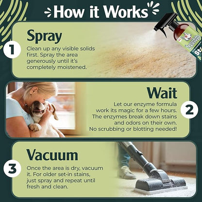 Sprinkle & Sweep: Pet Stain & Odor Enzyme Spray - 24oz, 2 Pack - No Scrubbing Concentrated Formula, Dog & Cat Urine Destroyer, Carpet Spot Cleaning