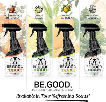 Pet Odor Eliminator Spray for Dog & Cat Urine – Powerful Odor Remover for Carpet, Couch, Upholstery & Car – Natural Non-Toxic, Long Lasting Fresh Scent – 16oz (Citrus Agave)