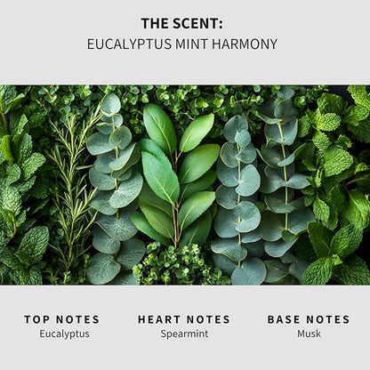 Lapew Eucalyptus Mint Scented Mop Soap - Luxury Floor Cleaner Concentrate for Mopping Tile, Laminate, Vinyl & Hardwood | Streak-Free, Low-Foam | 36 oz