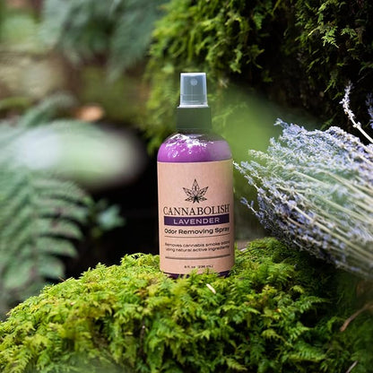 Cannabolish Lavender Smoke Odor Eliminator Spray and Air Freshener, 8 fl. oz, Natural Ingredients