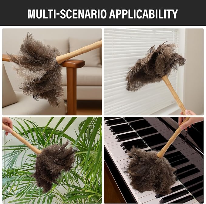 Feather Duster, Ostrich Feather Duster 16 Inch, Fluffy, Reusable, Eco-Friendly Natural Ostrich Feathers with Wooden Handle for Home, Car, and Office Cleaning(16 in)