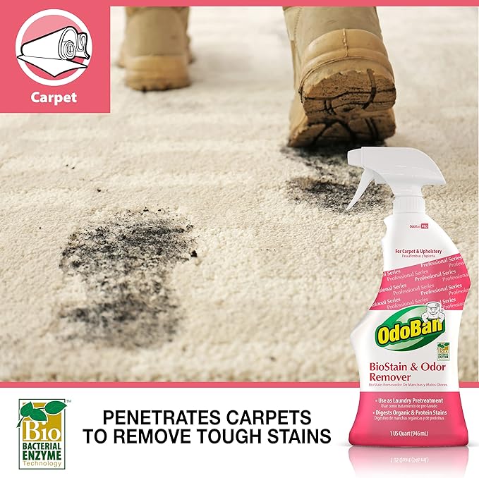 OdoBan Professional Cleaning BioStain and Odor Remover for Carpet and Upholstery, Made in the USA, 32 oz Ready-to-Use Spray 12-Pack