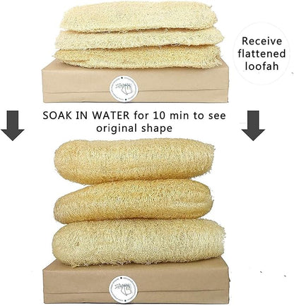 Natural Whole Loofah Sponge (Pack 3) - Exfoliating Body for Bath or Dish Scrubber for Kitchen - 100% Biodegradable Compostable, Dishwashing Scouring Pad, Zero Waste