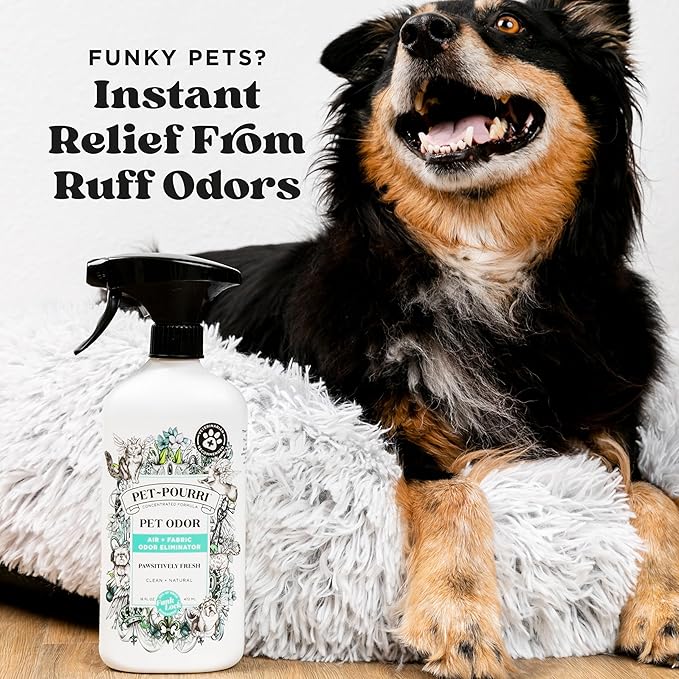 Pet-Pourri Pawsitively Fresh Pet Odor Deodorizer Spray, 16 Fl Oz, Up to 800 Uses, Air + Fabric Odor Remover with Essential Oils & Plant Based Ingredients, Vet Recommended, Pineapple, Jasmine & Pear