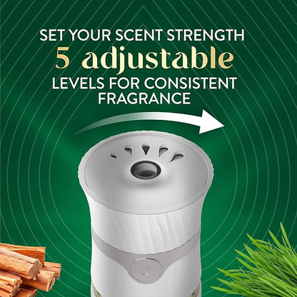 Air Wick Scented Oils 0+10 Sweetgrass & Sandalwood