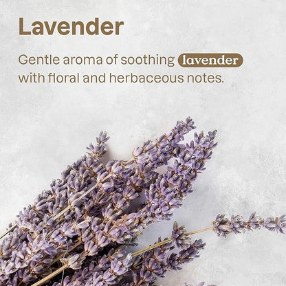 ATTITUDE Fabric Refresher for Pets, Neutralizes Odors, Plant and Mineral-Based Ingredients, Vegan and Cruelty-free, Bulk Refill, Lavender, 67.62 Fl Oz