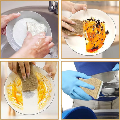 Natural Kitchen Sponges, Biodegradable & Compostable | Non-Scratch Cellulose Coconut Fiber Sponges for Dishes, Pots & Pans | Eco-Friendly Cleaning Sponge (24)