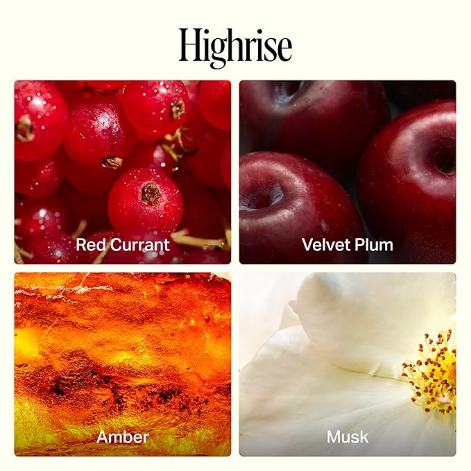 Preston Lane Luxury Dish Soap, Highrise Scent | Plant Powered Formula with Essential Oils | Tough on Grease, Gentle on Hands | Vegan, Cruelty Free, Clean Ingredients