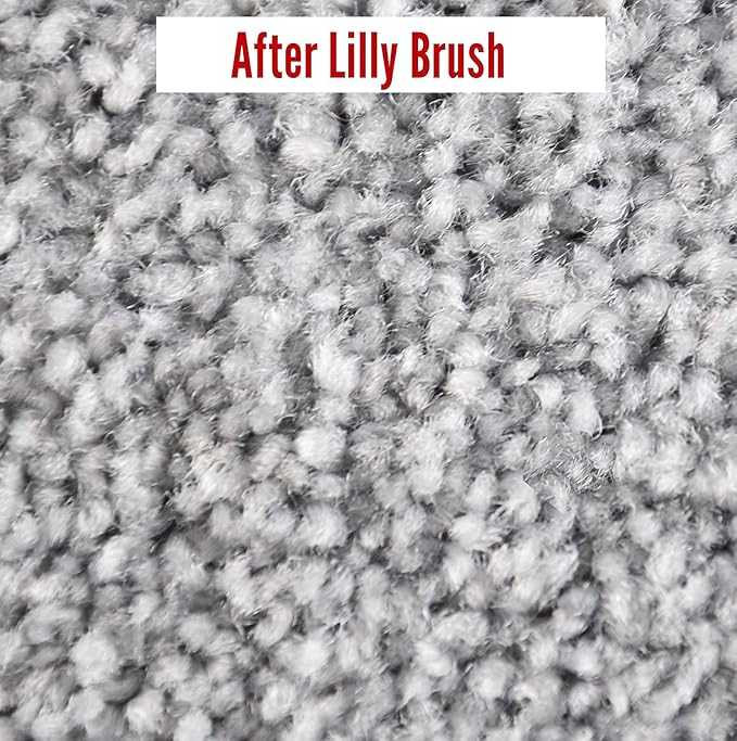 Lilly Brush Mighty Pet Hair Detailer - Carpet Rake & Broom for Pet Hair Removal, Double Rubber Blade, 52" Handle