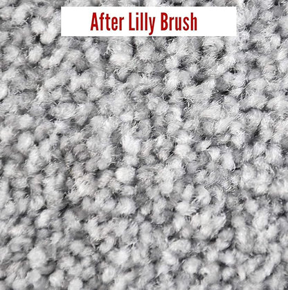 Lilly Brush Mighty Pet Hair Detailer - Carpet Rake & Broom for Pet Hair Removal, Double Rubber Blade, 52" Handle