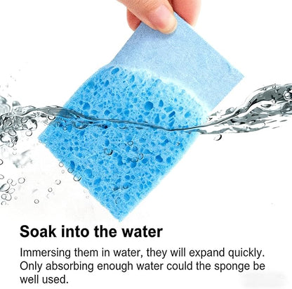 ARCLIBER Cellulose Sponges,Heavy Duty Scrub Kitchen Sponge No Scratching,Pop Up Eco DIY (6 Pack)