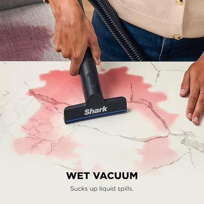 Shark EveryMess Ultra-Powerful 3-in-1 Wet Vac, Dry Vac, & Stain Eliminator with StainForce Technology, Perfect for Homes, Pets, and Cars, 3 Accessories and Cleaning Solution, Gray, VX101