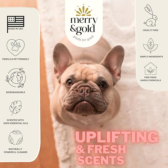 Merry & Gold Carpet Freshener & Deodorizer Powder - 31oz | Grapefruit Vanilla |Pet Odor Eliminator for Strong Odors | Safe in Homes with Pets | Made in USA | Natural Ingredients (Grapefruit & Vanilla)