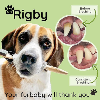 Dog Toothbrush- 10,000 Ultra-Soft Bristles for Sensitive Pet Teeth & Gums- Natural Bamboo Toothbrush for Comfortable, Gentle Deep Cleaning