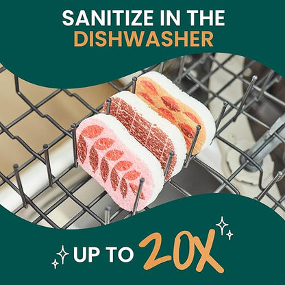 Scotch-Brite Harvest Pop Up Kitchen Sponges, Unique Compressed Kitchen Sponge for Cleaning Gently, Autumn Pattern Dish Sponge that Expands in Water, 3 Scrubbing Sponges
