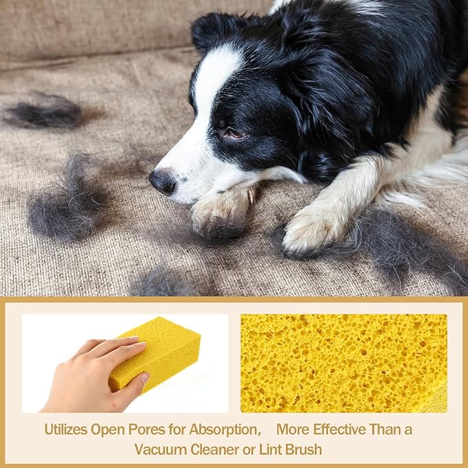 Jingmore 8 Pack Pet Hair Lifter Remover Sponge Cat and Dog and Other Pet Hair from Furniture, Carpet, Bedding and Clothing, Removal Tool, 5.91 x 2.76 x 1.57 Inches