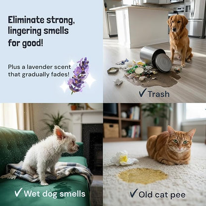 Sunny & Honey Pet Stain and Odor Remover - Enzyme Cleaner for Dog Urine and Poop on Carpets and Furniture - Strong Pet Carpet Cleaner Spray (1 Gallon Lavender)