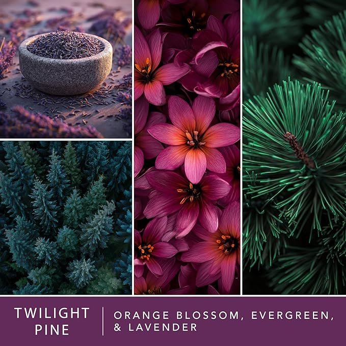 ScentSationals Twilight Pine Fragrance Oil Plug In Air Freshener Refills 3-Pack - Works with Scentsationals Wall Plugs, Long-Lasting Home Fragrance, 0.8 fl oz Each, Packaging May Vary