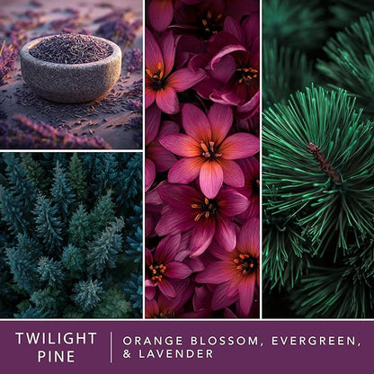 ScentSationals Twilight Pine Fragrance Oil Plug In Air Freshener Refills 3-Pack - Works with Scentsationals Wall Plugs, Long-Lasting Home Fragrance, 0.8 fl oz Each, Packaging May Vary